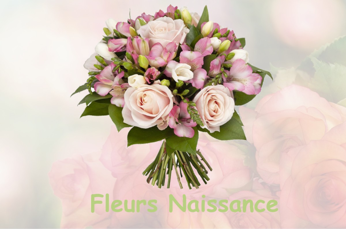 fleurs naissance VAUCRESSON