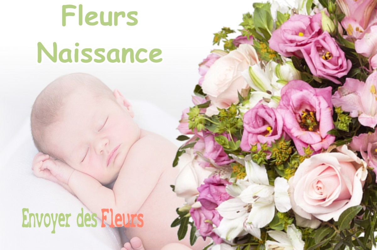 lIVRAISON FLEURS NAISSANCE à VAUCRESSON